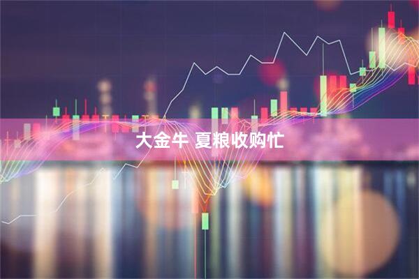 大金牛 夏粮收购忙